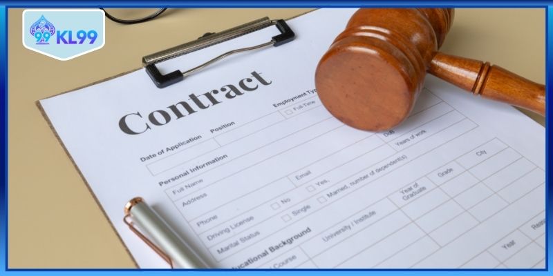 Có nhiều loại giấy phép hiện nay